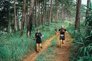 BIB: 
                            <button type="button" onclick="openModal(25679502)" class="btn btn-primary btn-sm float-right btn-popup" data-toggle="modal" data-target=".modal-high-quality">
                        <i class="fas fa-shopping-cart"></i> Add to Cart
                    </button>
                                            <button type="button" onclick="isThisMe(25679502, true)" class="btn btn-success btn-sm float-right btn-popup btn-isme hidden" data-toggle="tooltip" data-placement="bottom" title="นี่คือรูปของคุณใช่ไหม คลิกที่นี่เพื่อเอาเข้าอัลบั้ม">
                        <i class="fas fa-plus"></i> Add to album
                    </button>
                    <button type="button" onclick="isThisMe(25679502, false)" class="btn btn-warning btn-sm float-right btn-popup btn-isnotme hidden">
                        <i class="fas fa-ban"></i> Remove from album
                    </button>